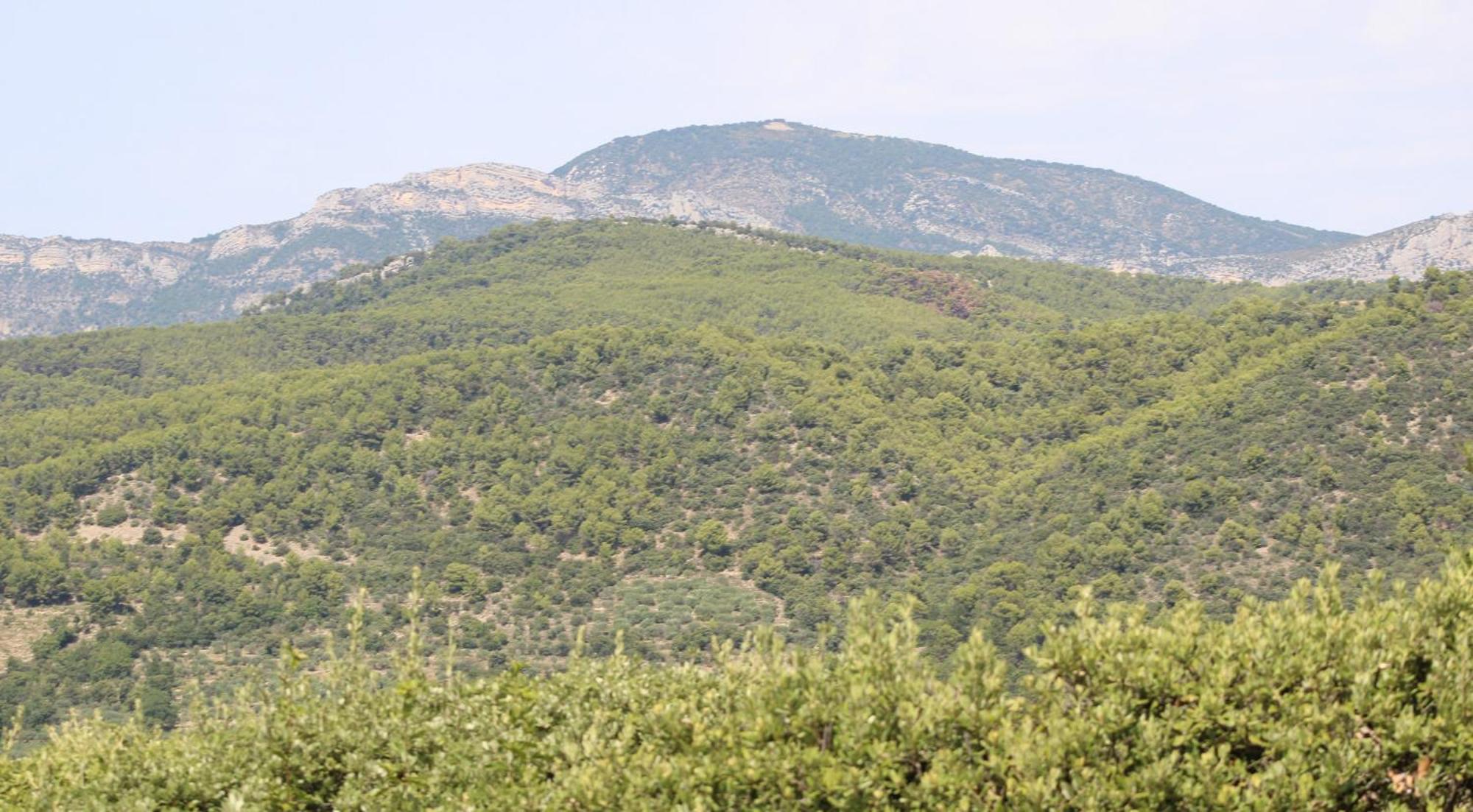 Le Pas Du Ventoux Villa Mollans-sur-Ouveze ภายนอก รูปภาพ