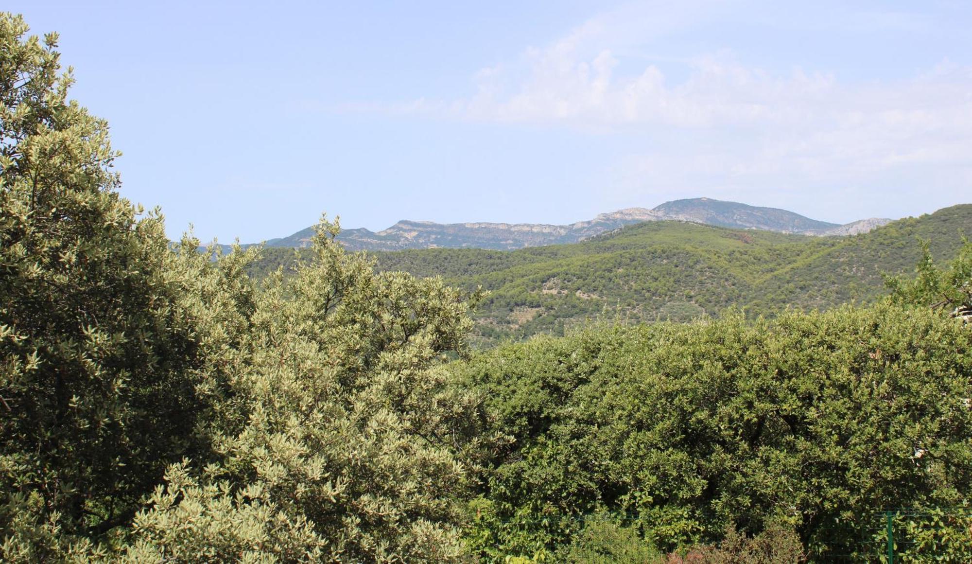 Le Pas Du Ventoux Villa Mollans-sur-Ouveze ภายนอก รูปภาพ